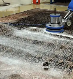 Professional rug cleaning with a rotary floor machine and shampoo foam, deep-cleaning an area rug San Diego, CA.