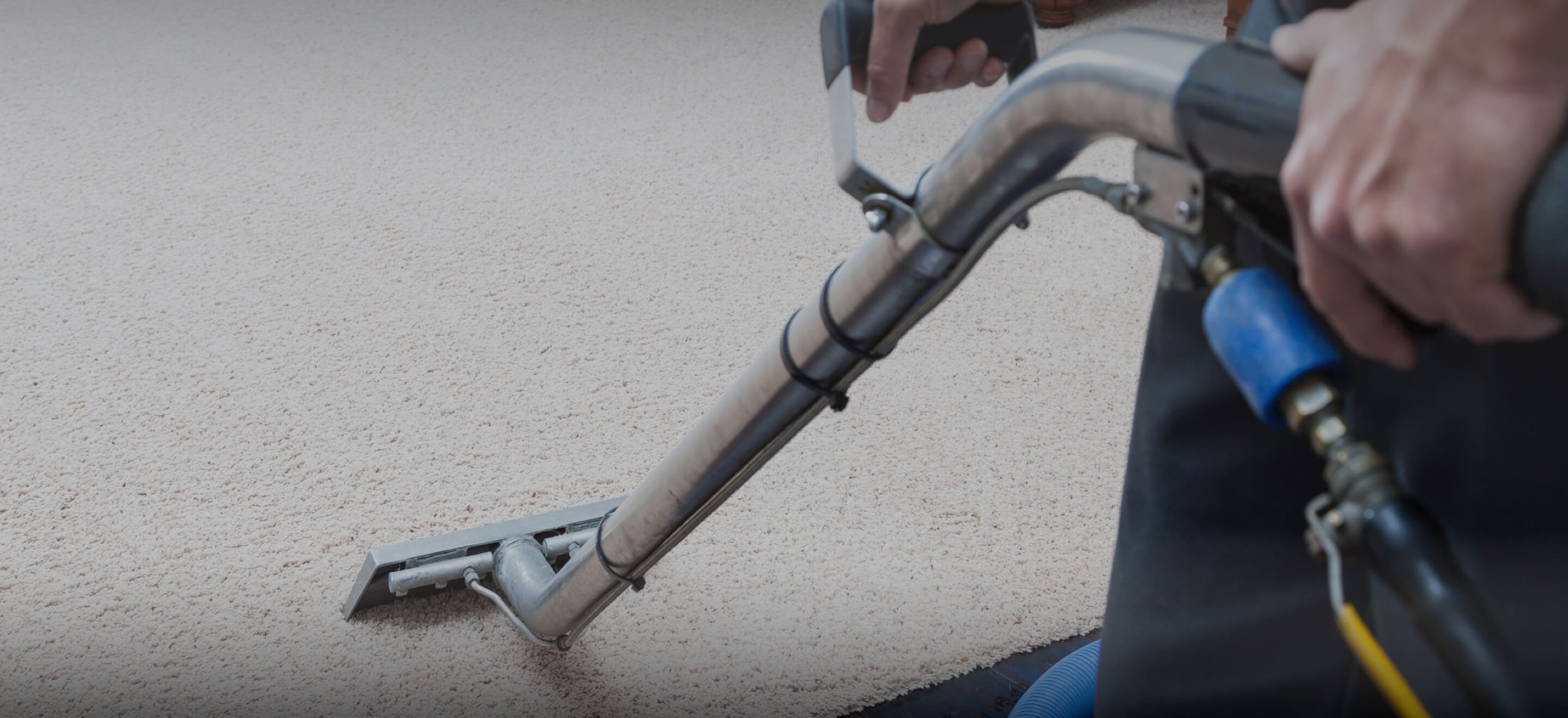 Top 10 Best Carpet Cleaners In San Diego Ca Angie S List